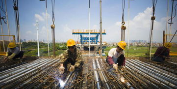 中新网福建 福建新闻,华侨,闽商,海峡两岸 中新社福建